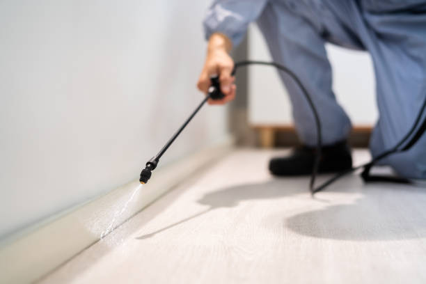 Licensed Pest Control service in Clearlake Riviera, CA - Show Me Pest Control